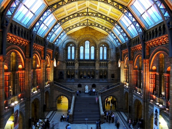 visit-the-natural-history-museum